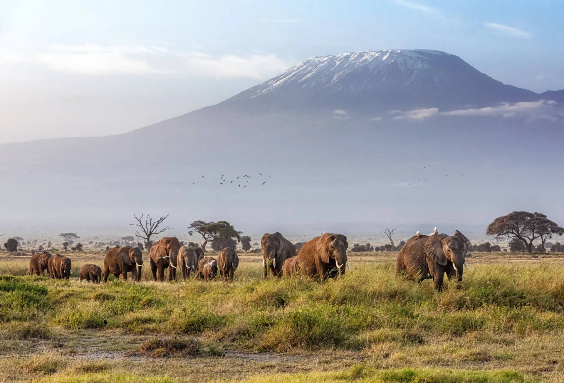 visiting nairobi 